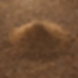 Close-up of nitrogen-rich fertilizer granules