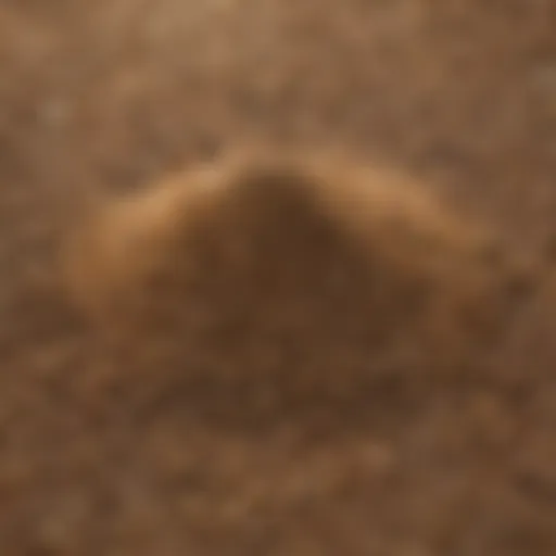 Close-up of nitrogen-rich fertilizer granules