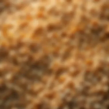 Whole Grains and Their Benefits Close-up of whole grains displaying texture and quality