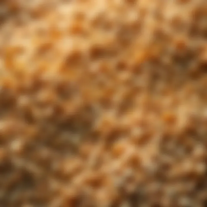 Whole Grains and Their Benefits Close-up of whole grains displaying texture and quality