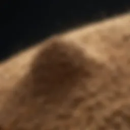 Detailed view of Ortho Sevin Dust granules
