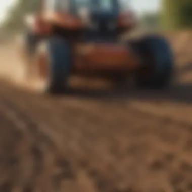 Landscape view illustrating the effectiveness of top dressing on soil health