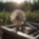 Solar vent opener mechanism in action