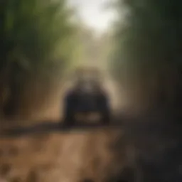 Harvesting sugar cane in a lush field