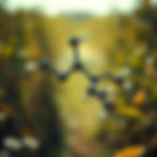 Glyphosate Molecular Structure Detailed analysis of glyphosate structure