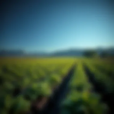 Sustainable agricultural practices promoting methane barrier