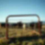 Durable TSC livestock panel in a field