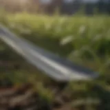 Close-up view of works dethatcher blades on grass