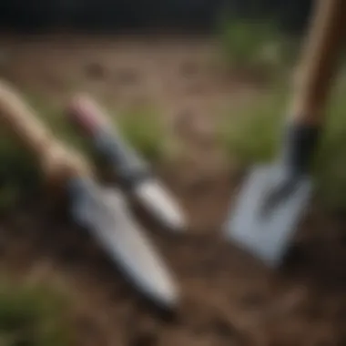 Comparing Different Sod Plugger Tools Different types of sod plugger tools arranged side by side for comparison.