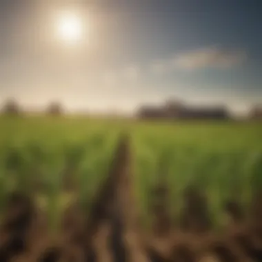 Historical Data on Weed Emergence in Crops Graph analyzing historical data on weed emergence across different crops.
