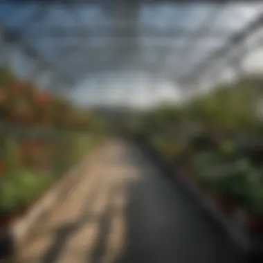 Local garden center with a selection of greenhouses